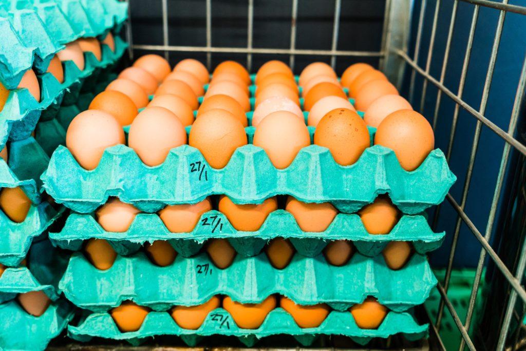 Brazils⁣ Egg Export Surge⁤ Driven‍ by ⁤Rising​ U.S. Consumer Demand