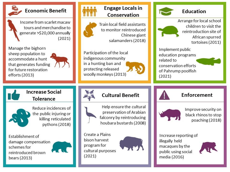 Recommendations for Influencers on Responsible Wildlife ‌Engagement