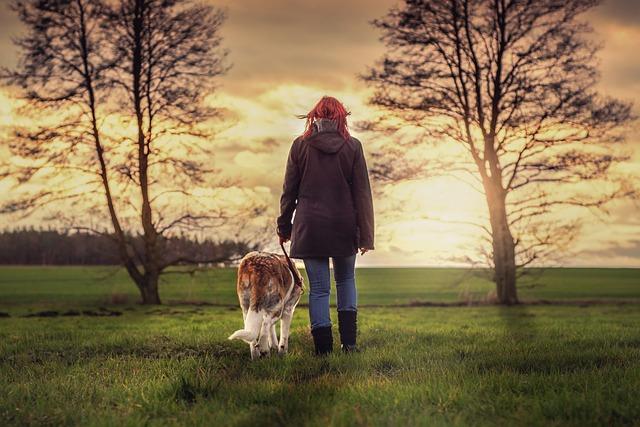 The Role of Canine Companionship in Reducing Anxiety and Stress