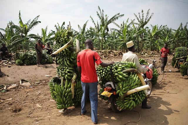 Recommendations for Stakeholders to Engage in the Trade Negotiation Process