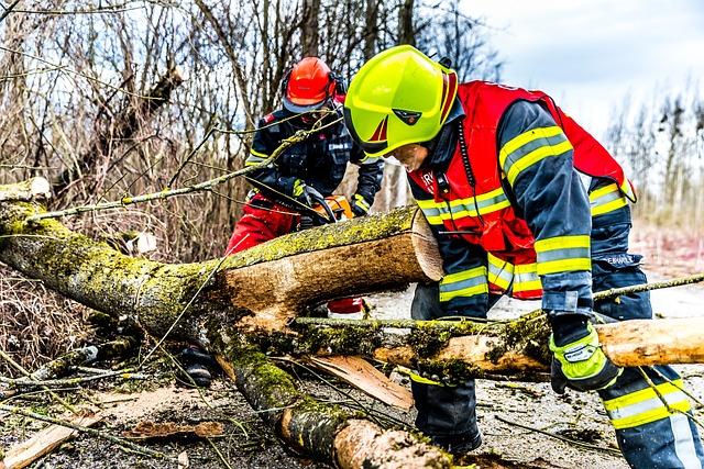 church Response to ⁤Storm Damage Highlights⁣ Commitment to Humanitarian ‍Efforts