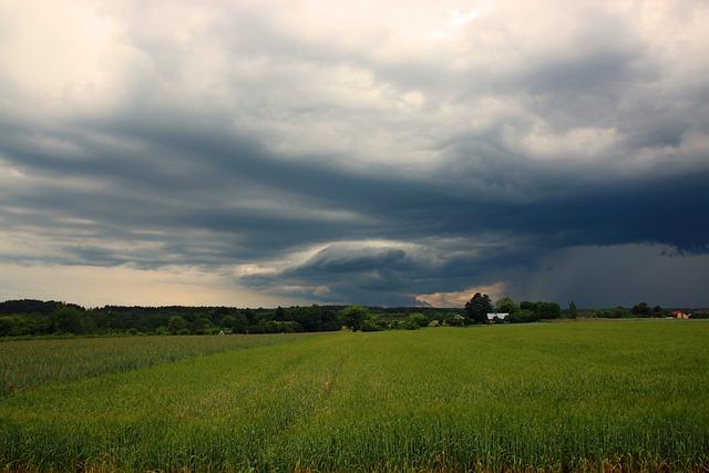 Forecasting ⁤the Future: What ‌Rain Likely‍ Means for⁣ Global Coffee Supply