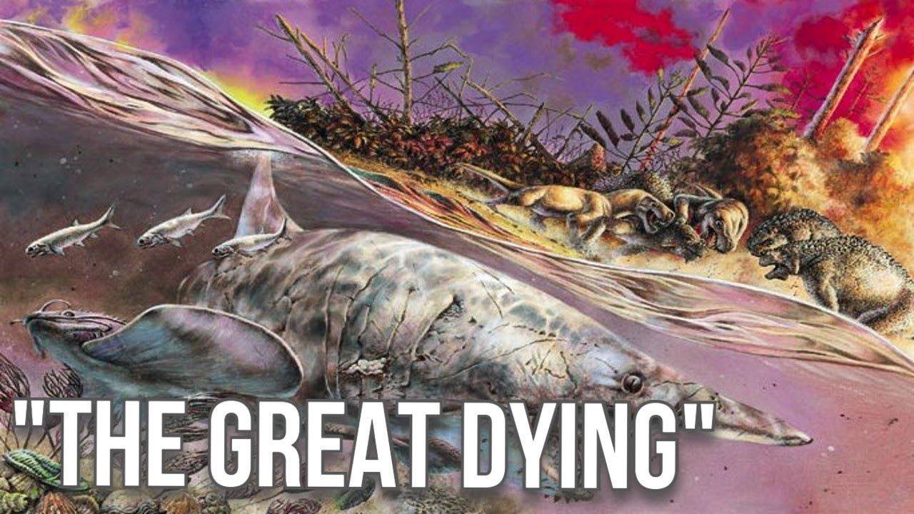 The‍ 'Great Dying'​ — the worst mass extinction in our planet’s history ‍— didn’t reach this isolated spot in China ‍- ⁣Livescience.com