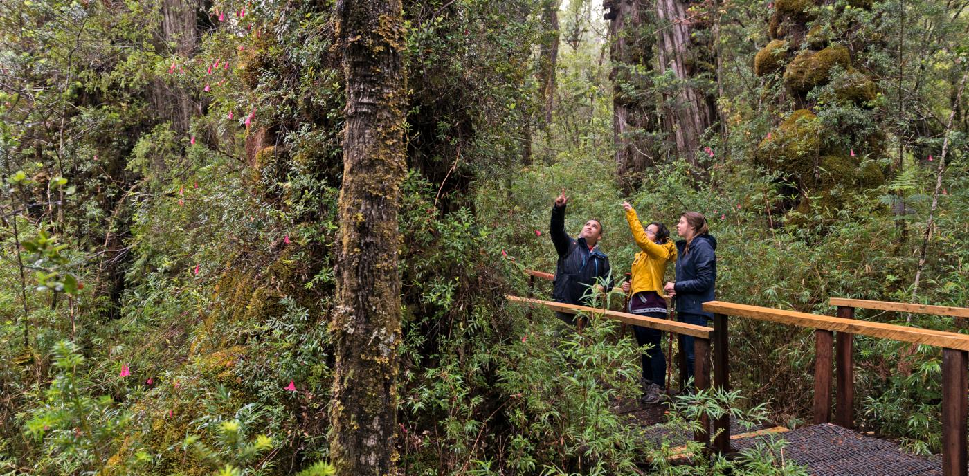 Preventive​ Measures for ⁣Tourists: How to Respect Local Flora ‌and Fauna